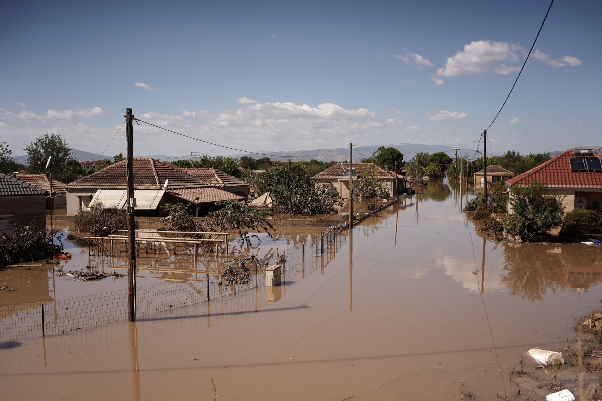 Palamas_plimmires(4)